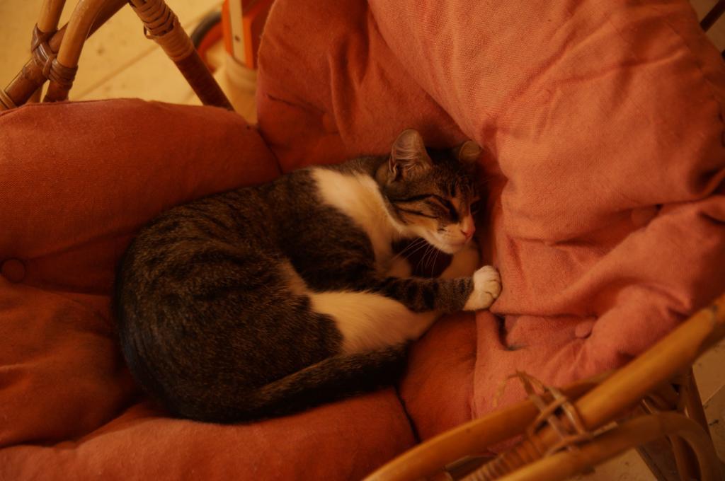 Roisey Le Grand Noe Bed & Breakfast エクステリア 写真